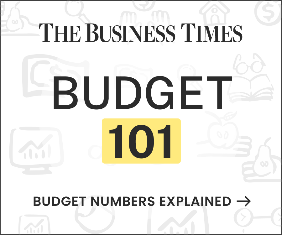 budget explainer