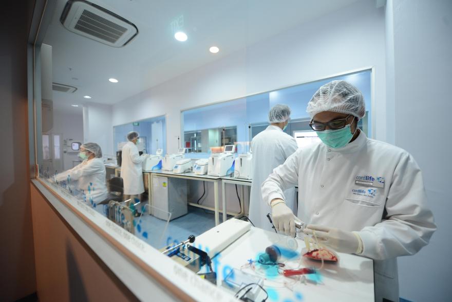 Cordlife names ex-TransGlobal executive director Yiu Pang Fai as new group CEO