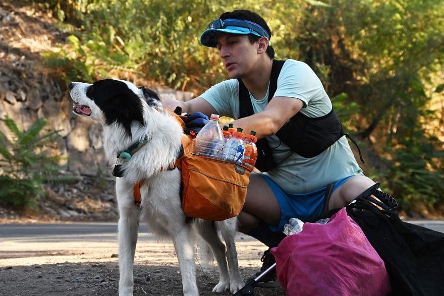 En Chile, un abogado y su perro crean conciencia sobre el reciclaje y el estilo de vida