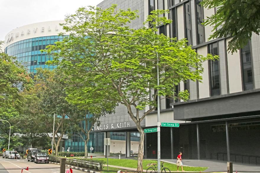 Charles & Keith buys S$60m building next to HQ in Tai Seng Link, Property -  THE BUSINESS TIMES